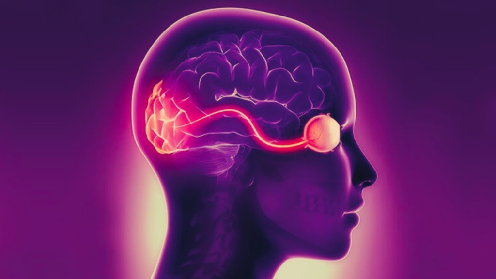 Natural Brain and Advanced Vision Supplements USA 2021