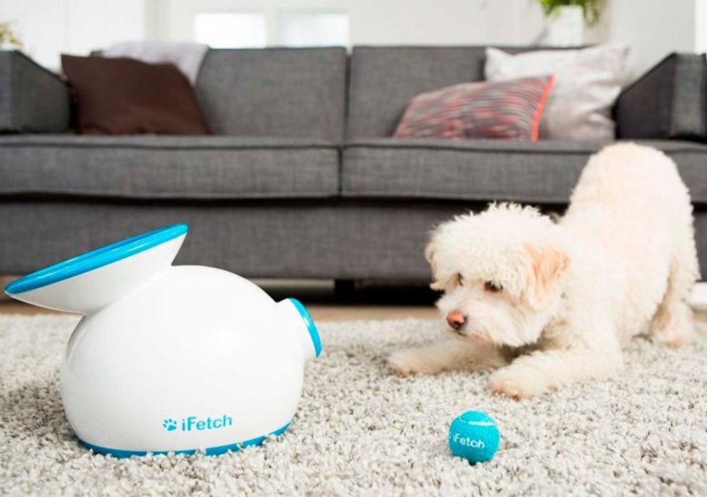 Best Automatic Ball Launcher For Dogs